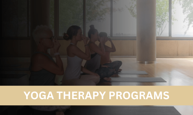 Read more about the article Comprehensive Yoga Therapy Programs: Enhance Wellness & Healing